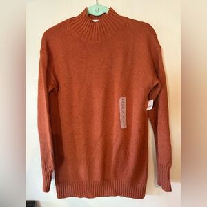 Old Navy Turtleneck Sweater in Rust Fall Academia Classic Cozy